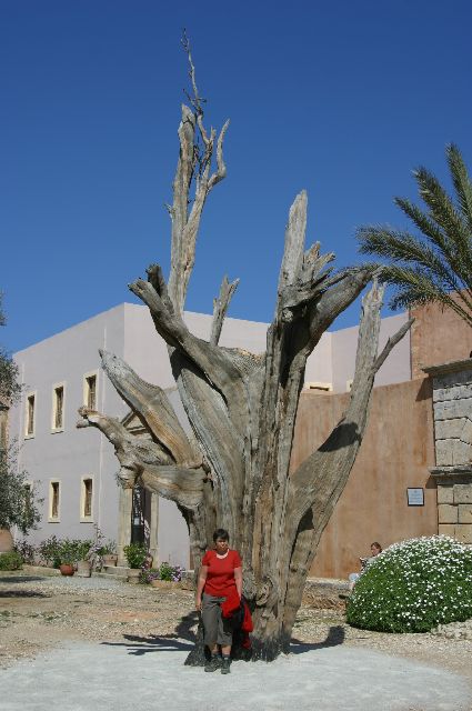 Kreta2007-0314 