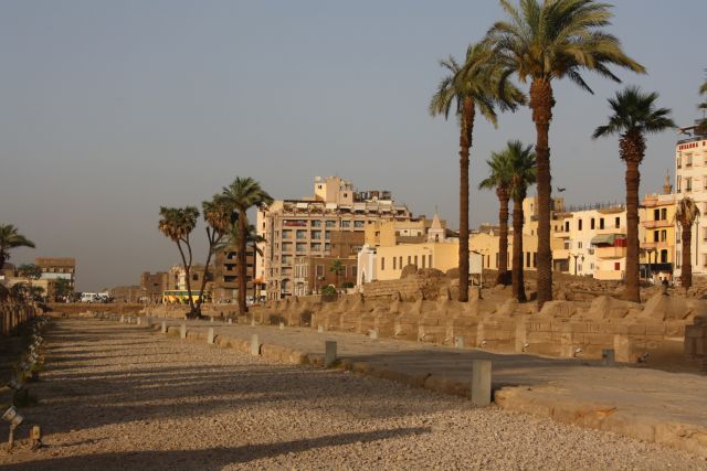 Egypte2010-100 