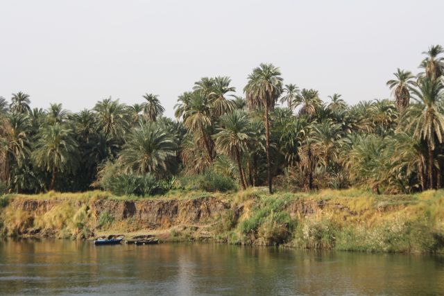Egypte2010-188 