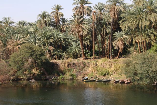 Egypte2010-189 