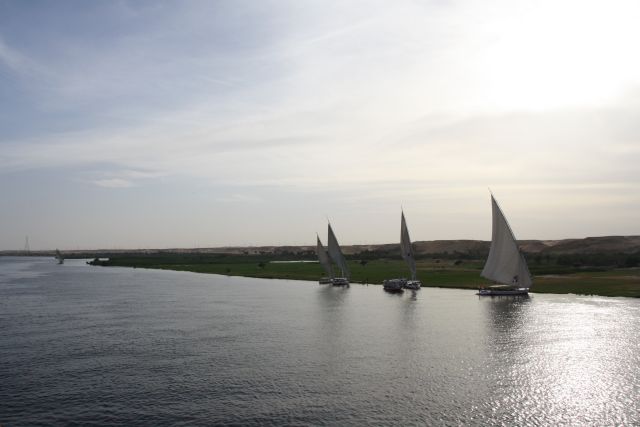 Egypte2010-197 