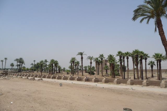 Egypte2010-552 