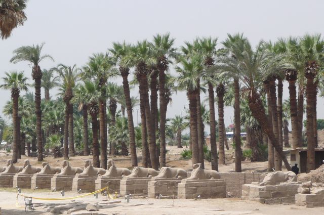 Egypte2010-554 